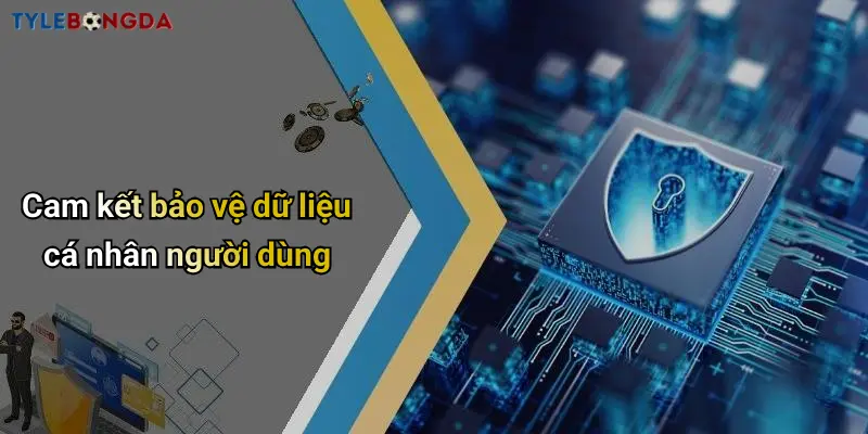 Cam kết bảo vệ dữ liệu cá nhân người dùng
