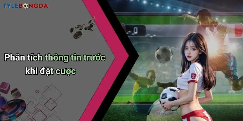 Phân tích thông tin trước khi đặt cược