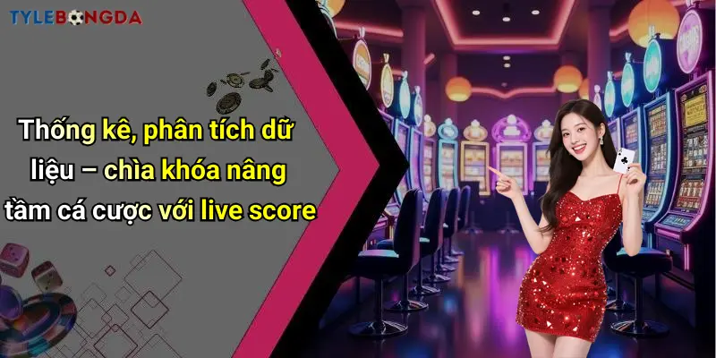 Thống kê, phân tích dữ liệu – chìa khóa nâng tầm cá cược với live score