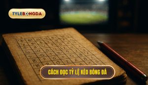 thumb - Cách đọc tỷ lệ kèo bóng đá