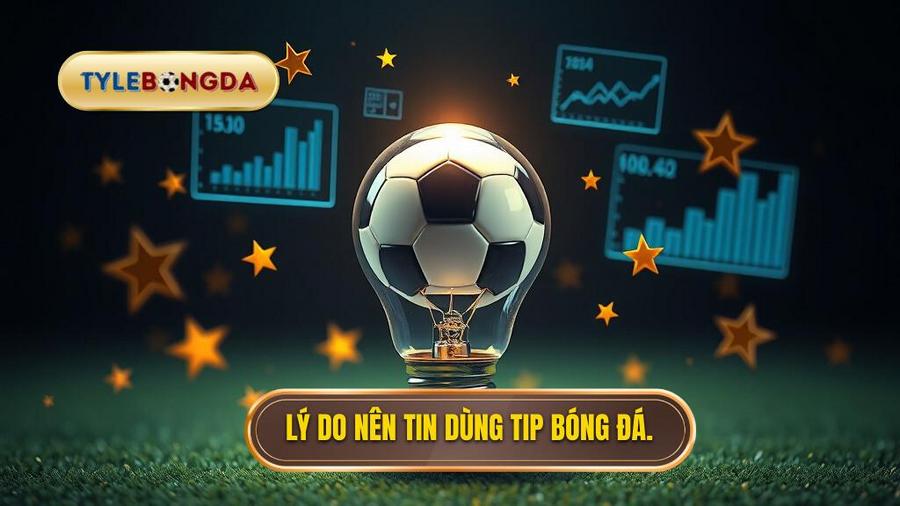  Lý do nên tin dùng tip bóng đá