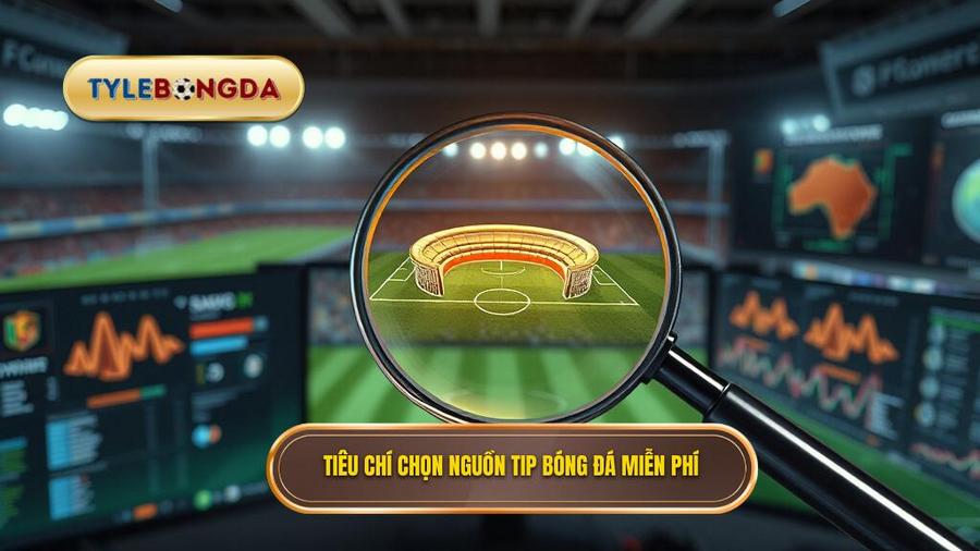 Tiêu chí chọn nguồn tip bóng đá miễn phí