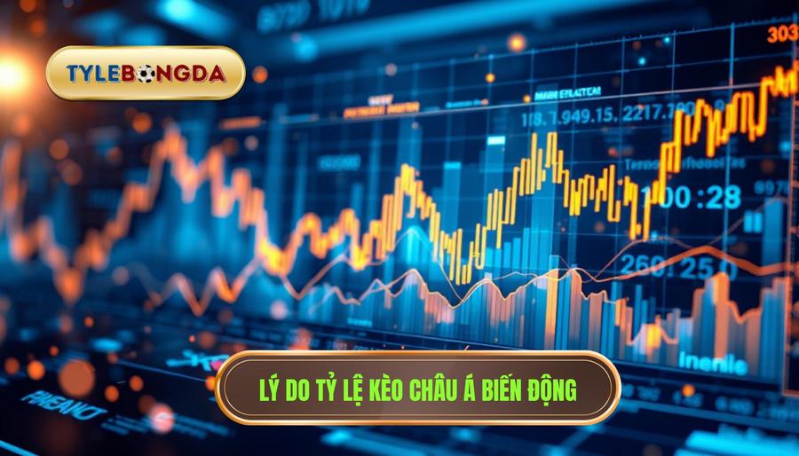3. Lý do tỷ lệ kèo châu Á biến động