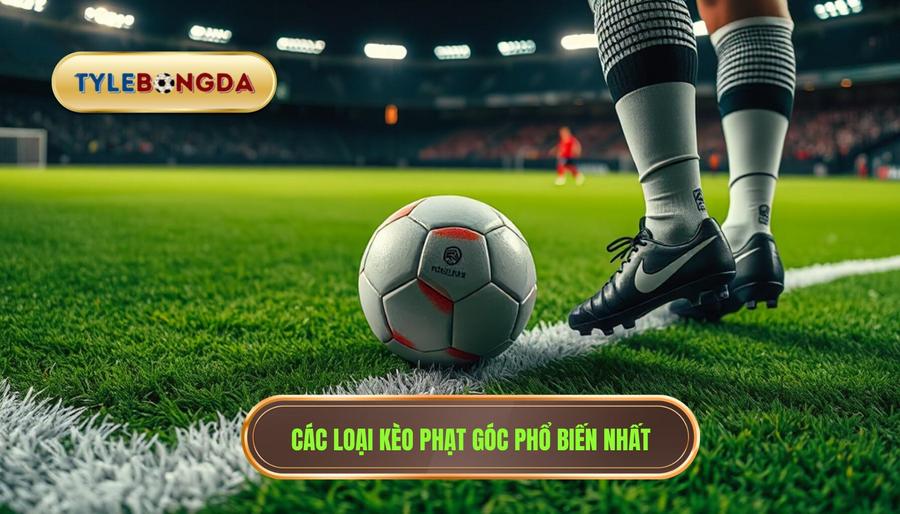 Các loại hình tỷ lệ kèo phạt góc phổ biến hiện nay